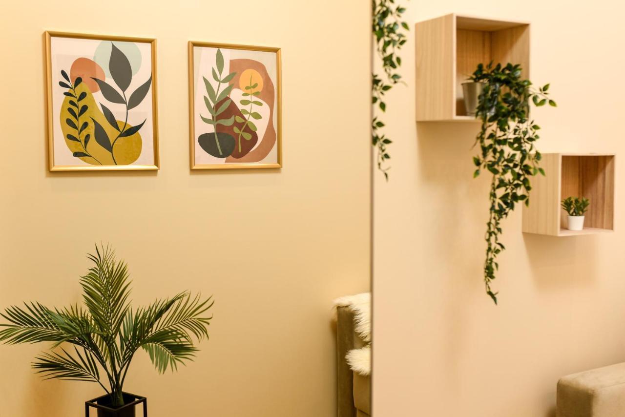 Green Leafy Brasov - Ideal 2 Bedroom Apartment Εξωτερικό φωτογραφία