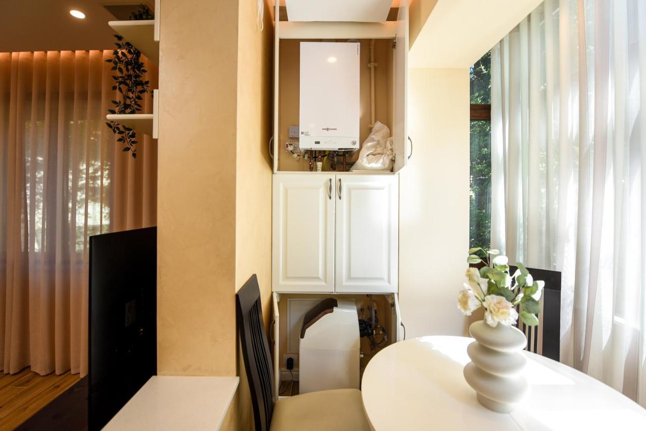 Green Leafy Brasov - Ideal 2 Bedroom Apartment Εξωτερικό φωτογραφία